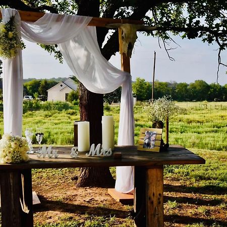 Beautiful Farmhouse W/ Pool On 6 Acres Ranch Aubrey Bagian luar foto
