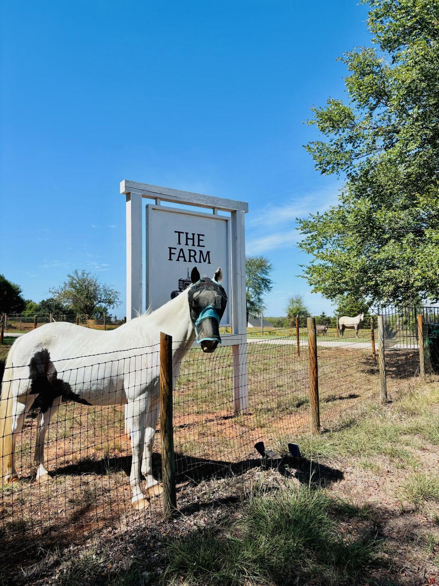 Beautiful Farmhouse W/ Pool On 6 Acres Ranch Aubrey Bagian luar foto